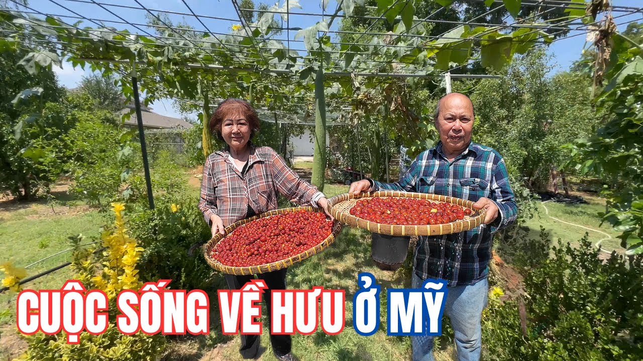 Cuộc Sống Người Già Ở Mỹ Sướng Hay Khổ 