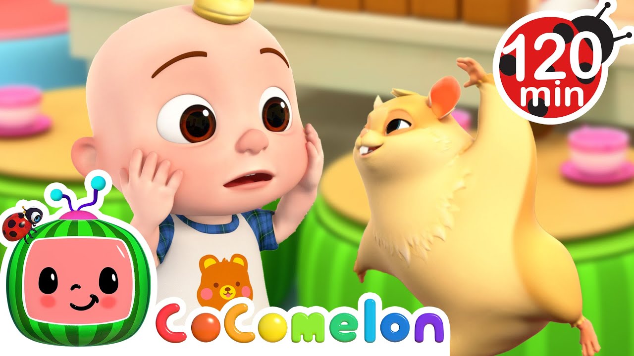 Happy Hamster Race and Dance! | CoComelon | Animals for Kids | Sing Along | Learn about Animals