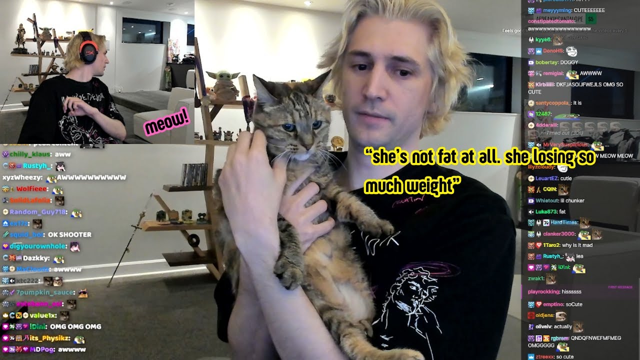 xQc show his unwell Cats coming to him for the first time from upstairs