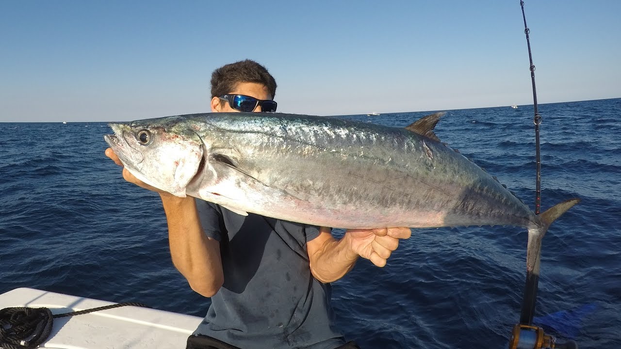 Fire Up the Smoker! Catch and Cook- (Smoked Kingfish Dip )
