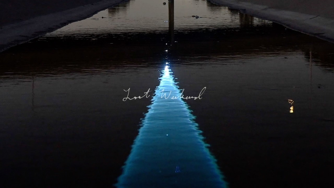 Phoebe Bridgers - Lost Weekend (Official Lyric Video)