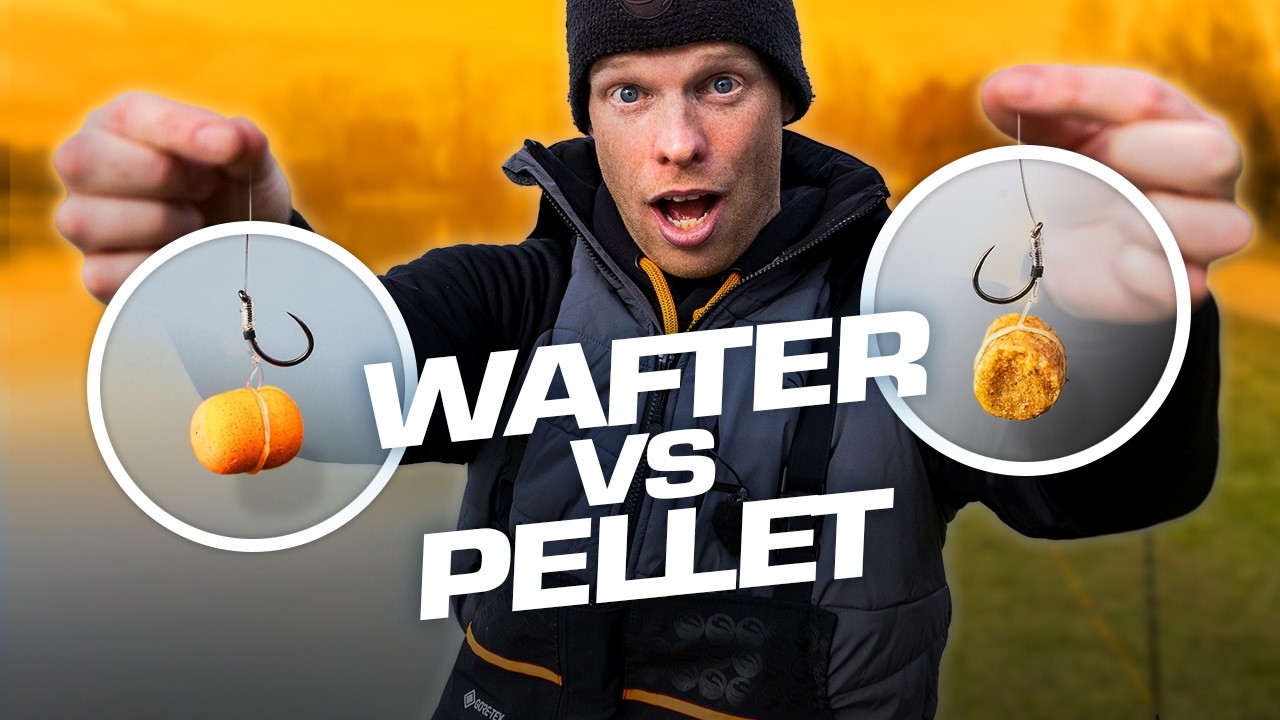 Wat is het  Beste Haakaas voor de Method Feeder? Sjors Milder doet de test! |INSIDE OUT XL|