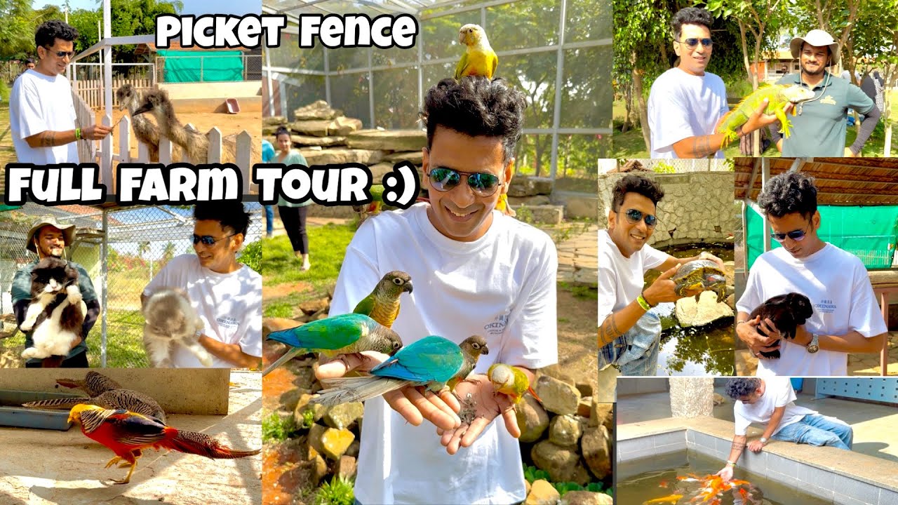 Picket Fence The Family Farm Bangalore | Best Farm Experience 2026 Pet Feeding, Birds & Reptiles