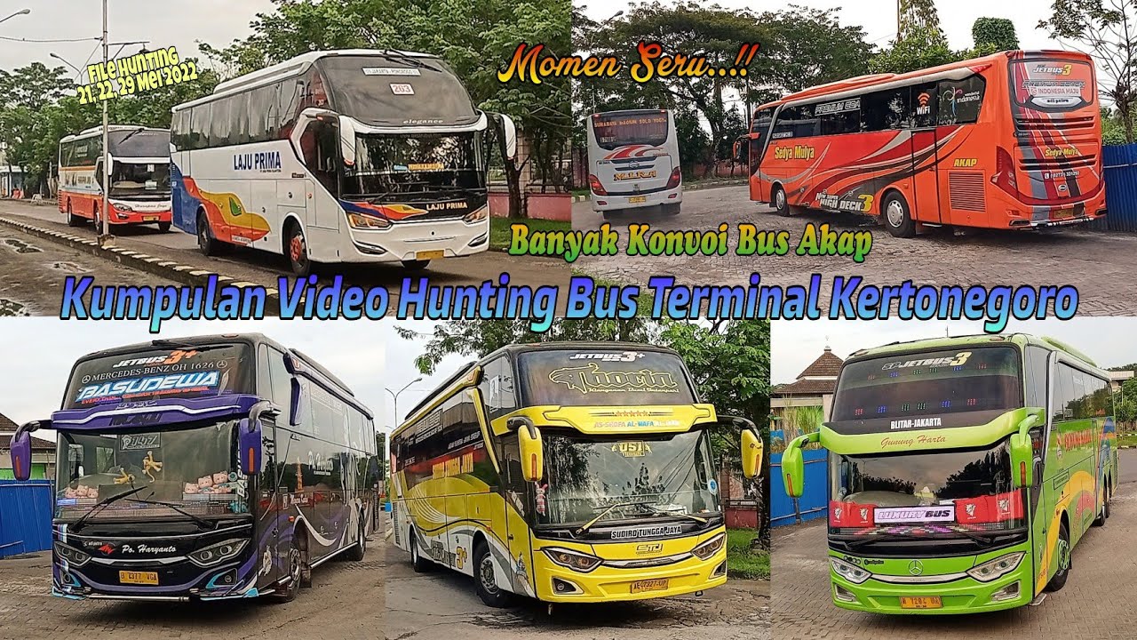 Kumpulan Video Hunting Bus Terminal Kertonegoro Ngawi | Banyak Moment Seru Konvoi Bus Akap