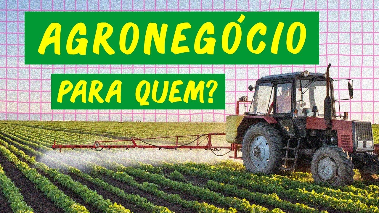Por que você não come o que o AGRONEGÓCIO produz?