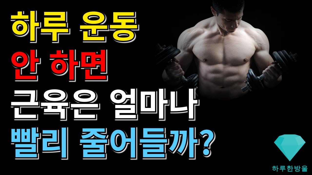 하루 운동 안 하면 근육은 얼마나 빨리 줄어들까