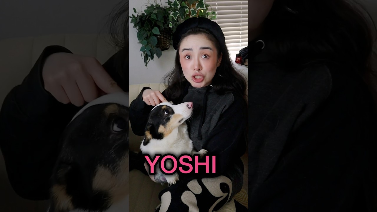 &iquest;YOSHI ES NI&Ntilde;O ADOPTADO?
