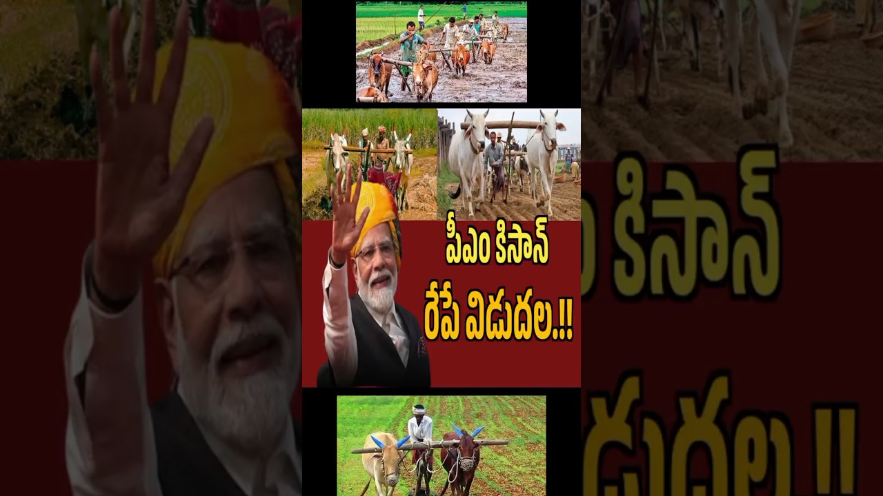 PM Kisan money to be released tomorrow //pm kisan //#youtubeshortvideos #shortvideos