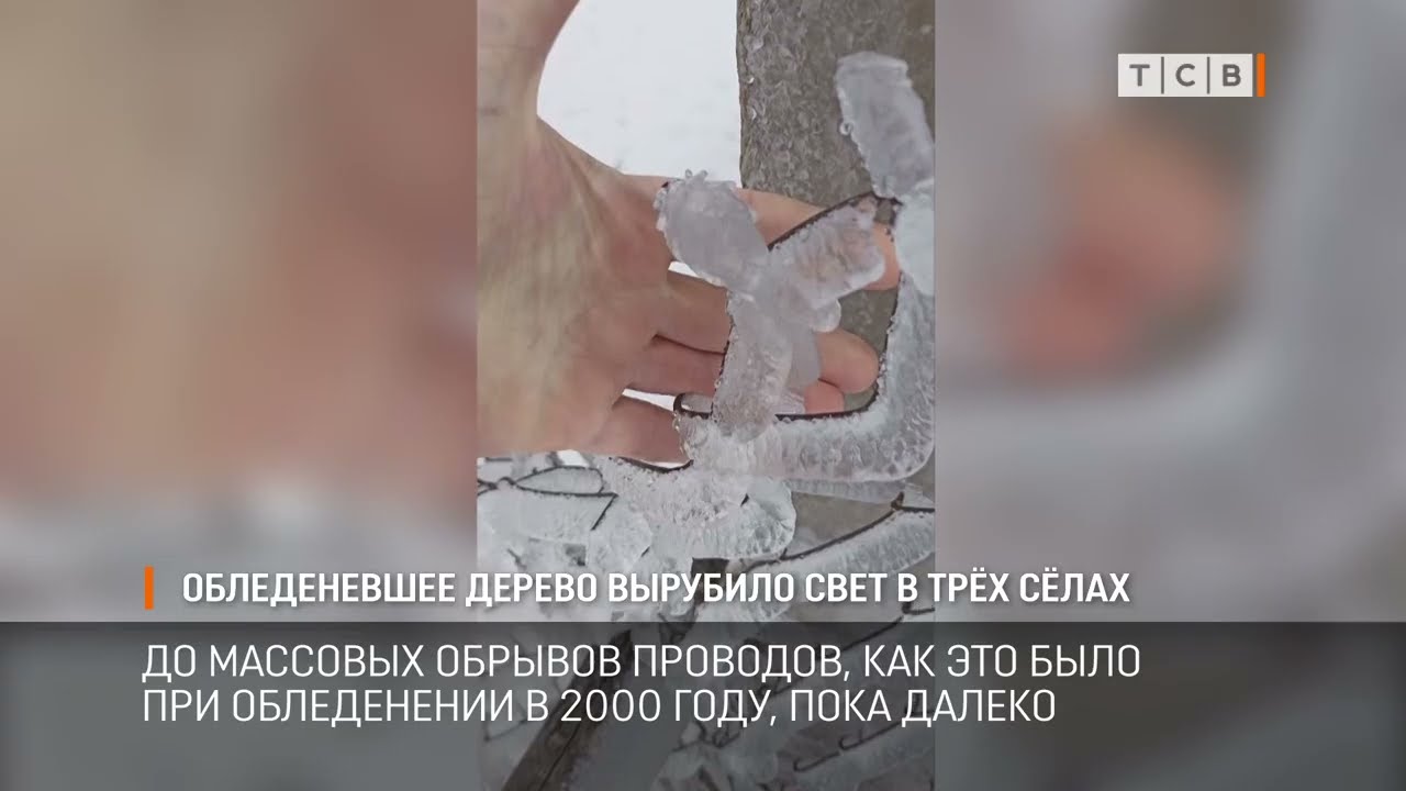 Обледеневшее дерево вырубило свет в трёх сёлах