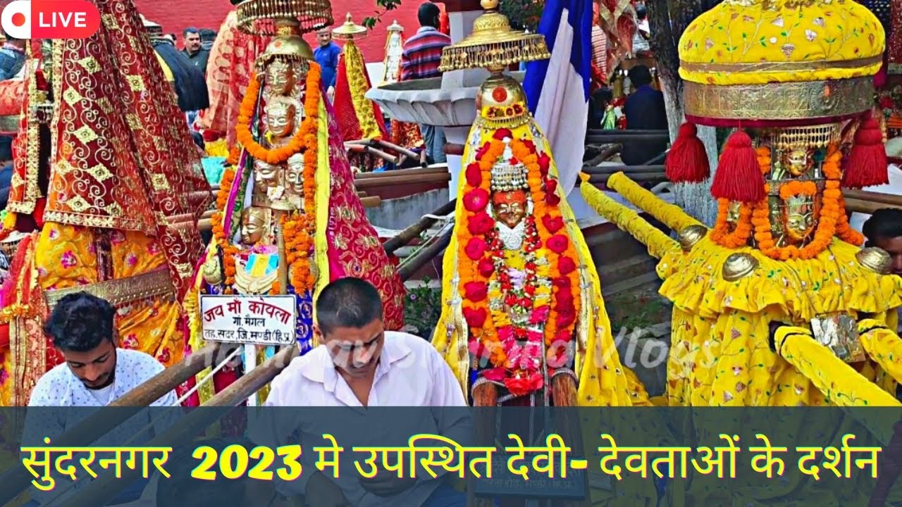 सुकेत देवता मेला सुंदरनगर 2023 मे उपस्थित देवी- देवताओं के दर्शन |Nalwaad Festival Sundernagar 2023