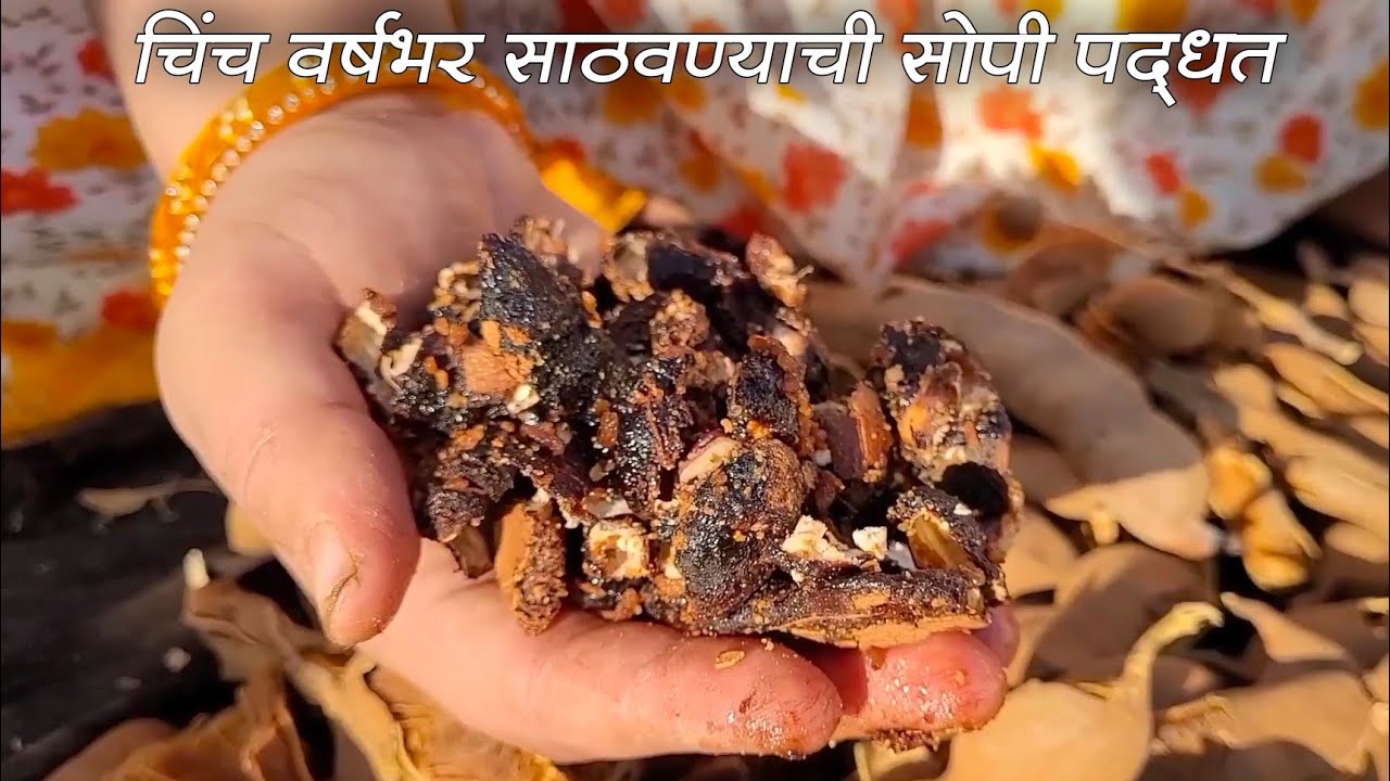 पारंपरिक पद्धतीने वर्षभर चिंच कशी साठवून ठेवाल |How to store Tamarind for 1 year  Ruby mhaske recipe