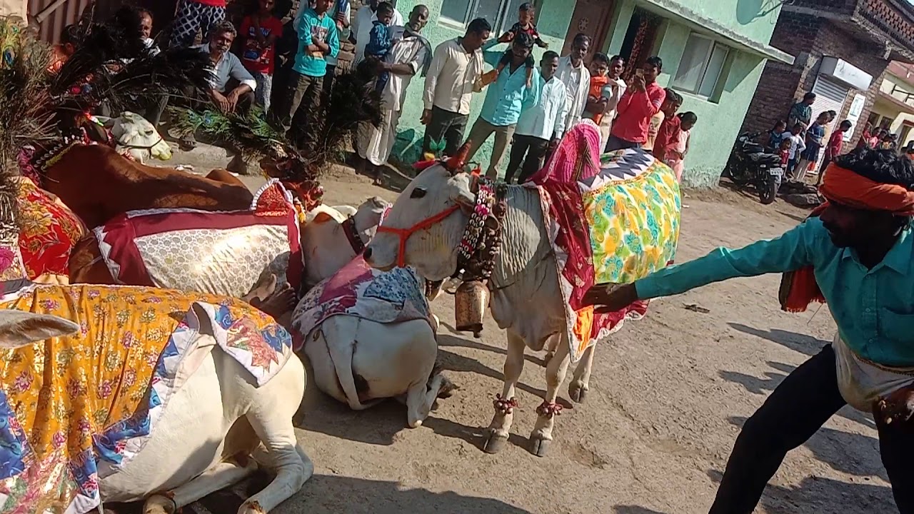 Sunil Ade asegav Devi yatra gauri pujan