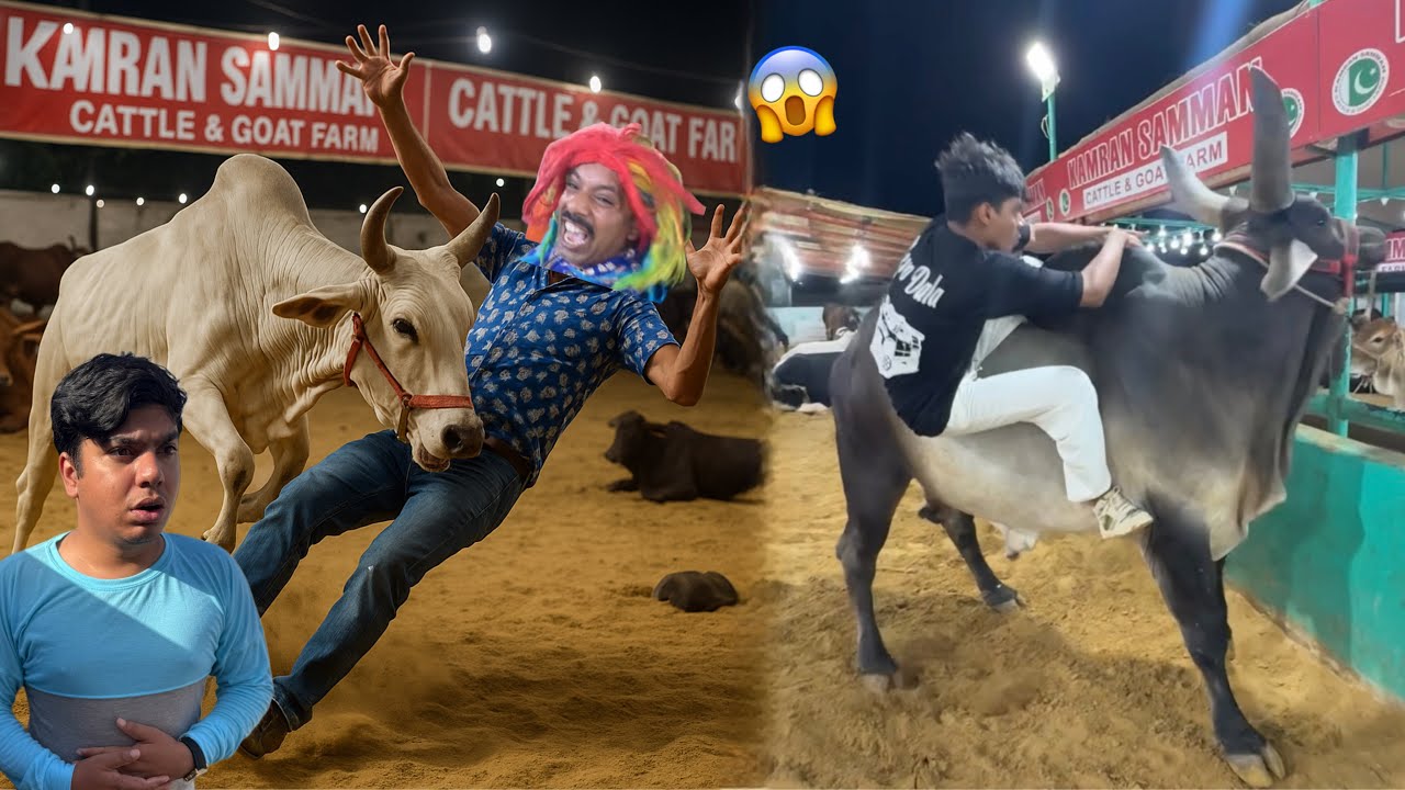 Qasai Ko Dangerous Bull Na Mara 😱 Subhan Na Kia Challenge