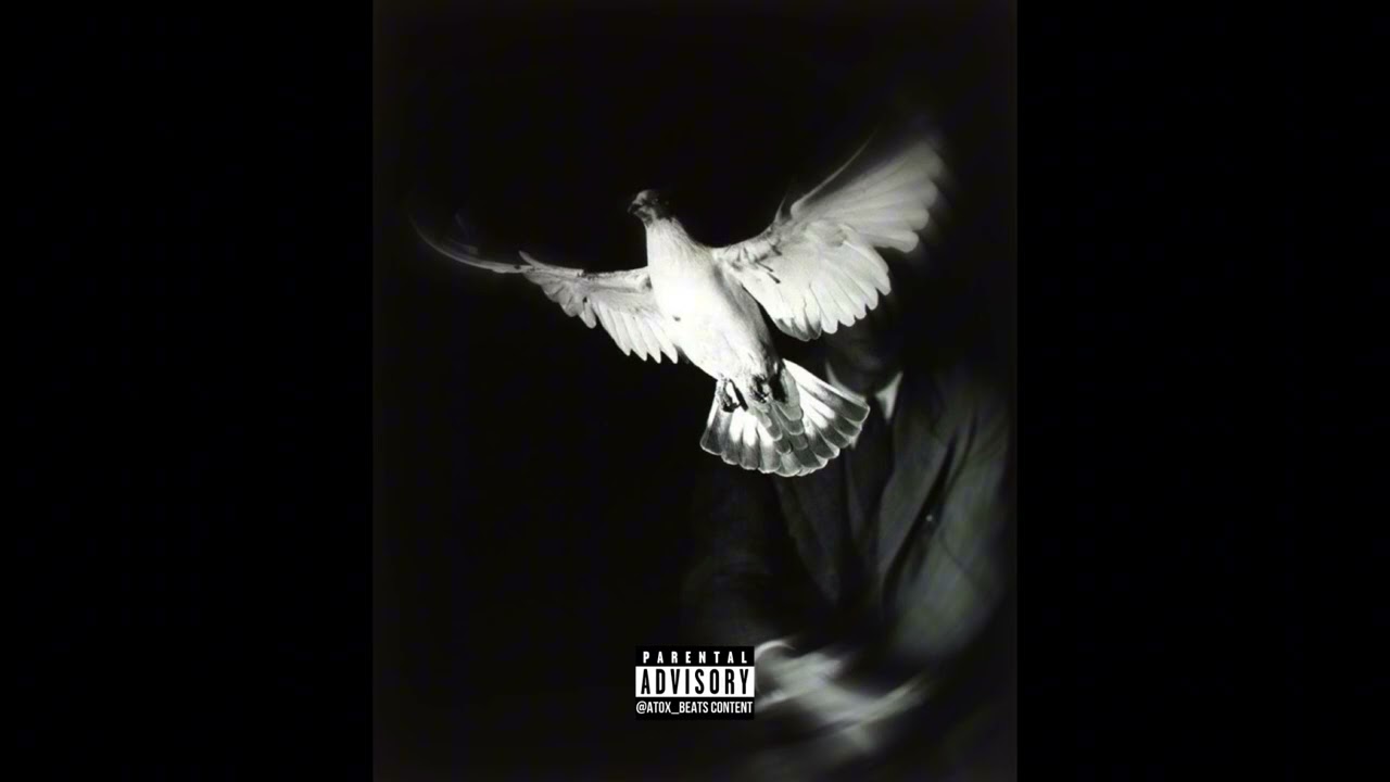 Zed x Oldpee Type Beat-