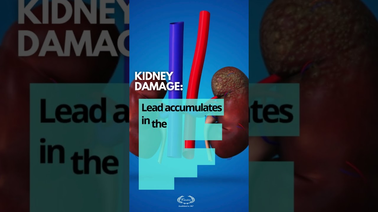 Harmful Effects of Lead in Water