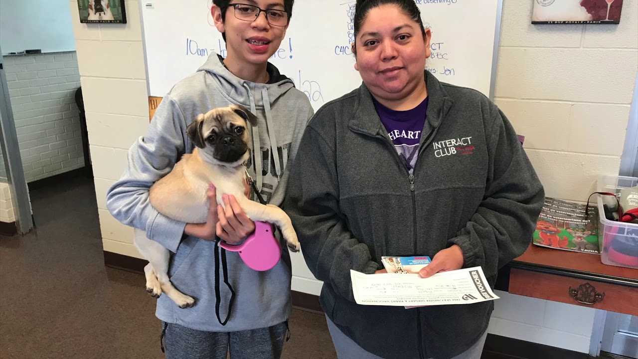 Free Microchip Clinic for Dogs and Cats