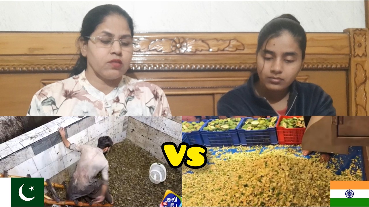 Pakistani Achaar Factory VS Indian Achaar Factory #reactionvideo #dbreaction