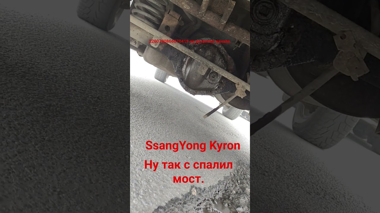 SsangYong Kyronа так я спалил мост. хочешь покушать