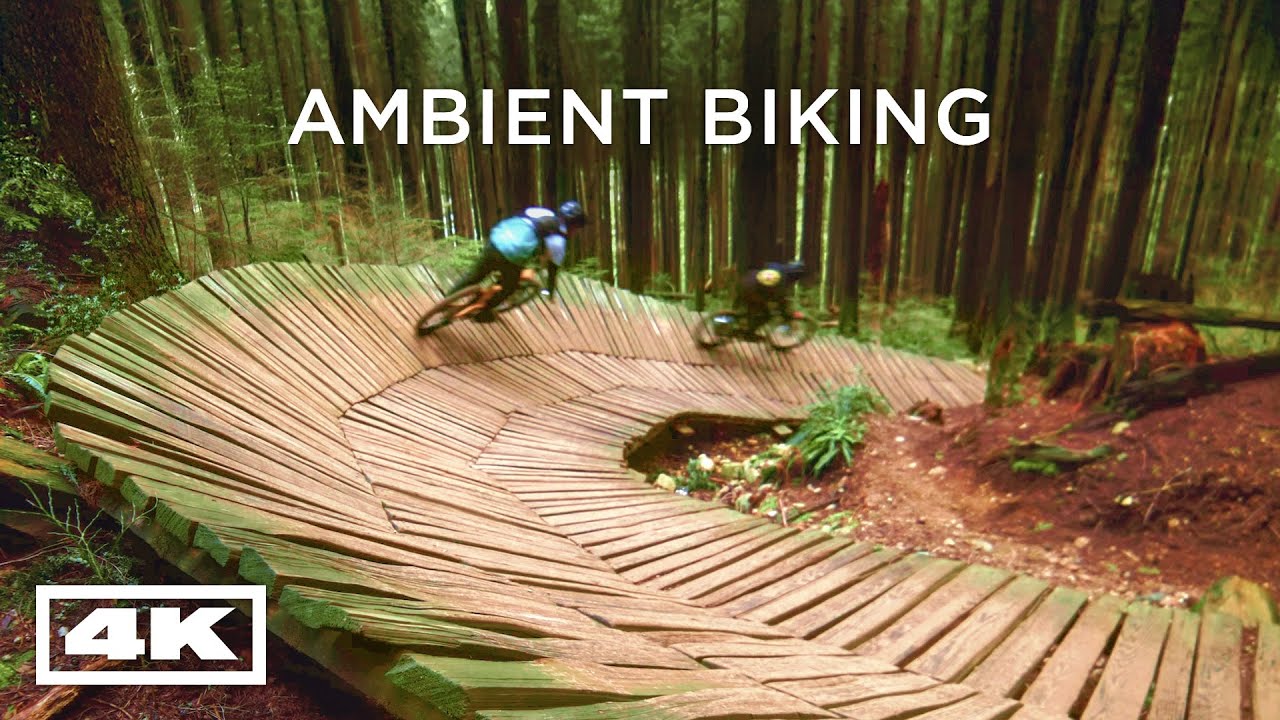 Riding BC's Famous Bobsled Trail | Relaxing Sounds of MTB