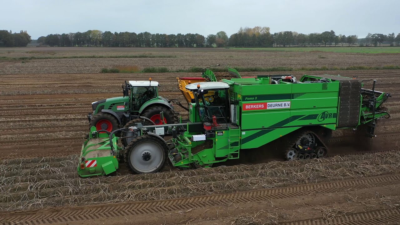 AVR puma 3 on tracks | potato harvest | Kartoffelernte
