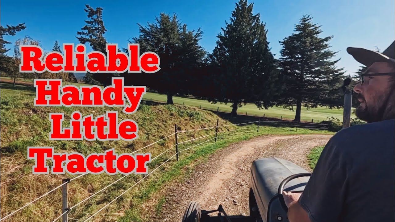 The Little TEA20 Ferguson Tractor. Perfect For Small Lifestyle Homestead Property. Linksview Acres