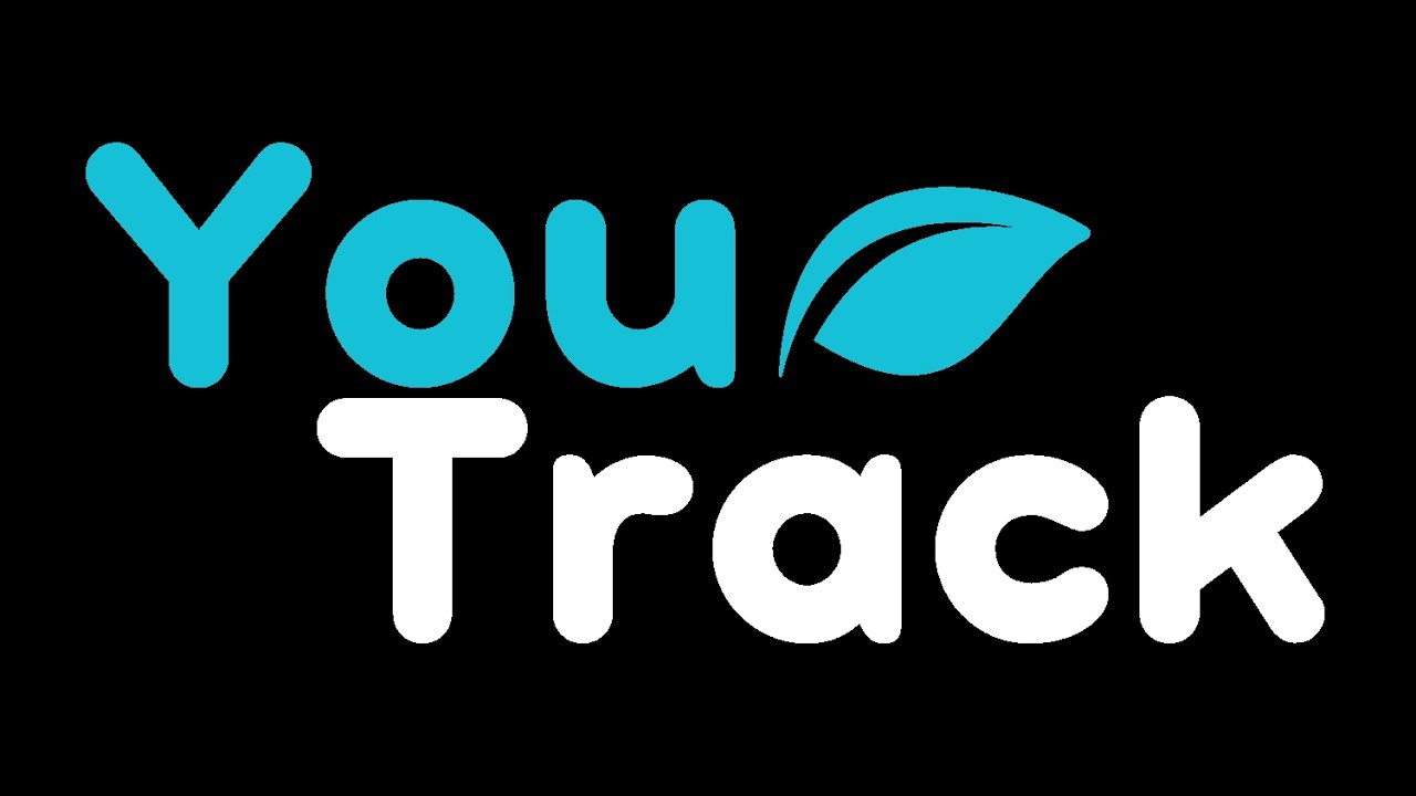 YouTrack Instructions