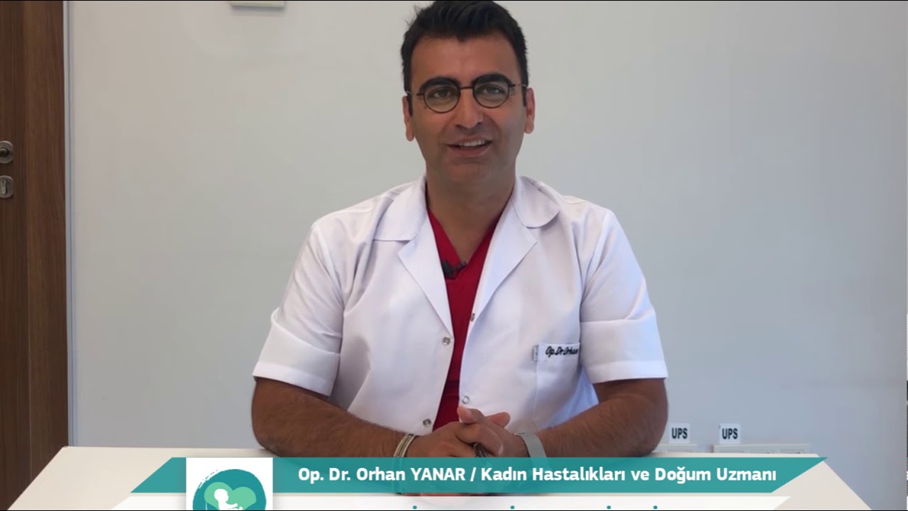 Gebelikte kedi beslenir mi ?