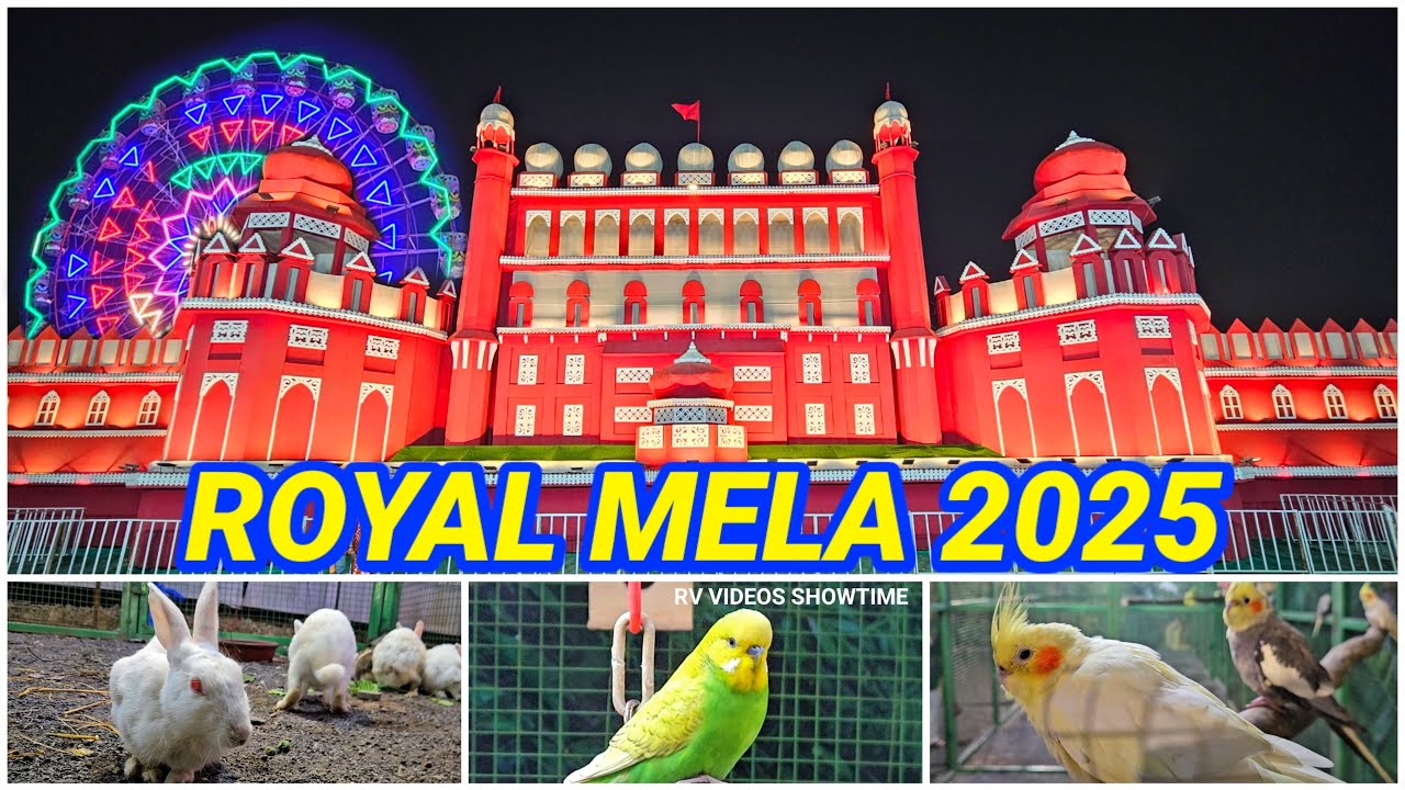 Royal Mela Vadodara, Fun Fair Amusement Park, Dragon Train, Chakdol, Jhula Rides 2025