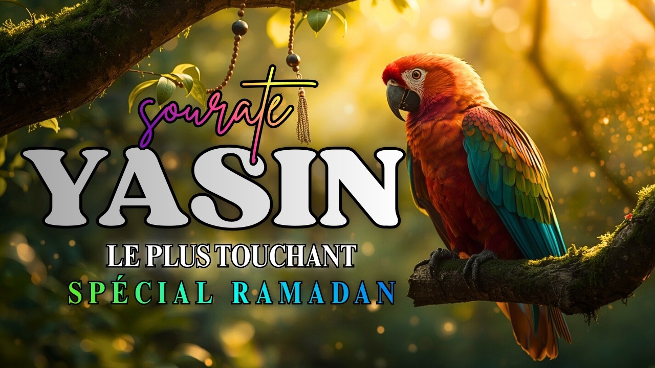 Sourate Yasin | miracles cachée de Samedi après-midi, Qu’Allah Te Guide Vers le Succes et la Baraka