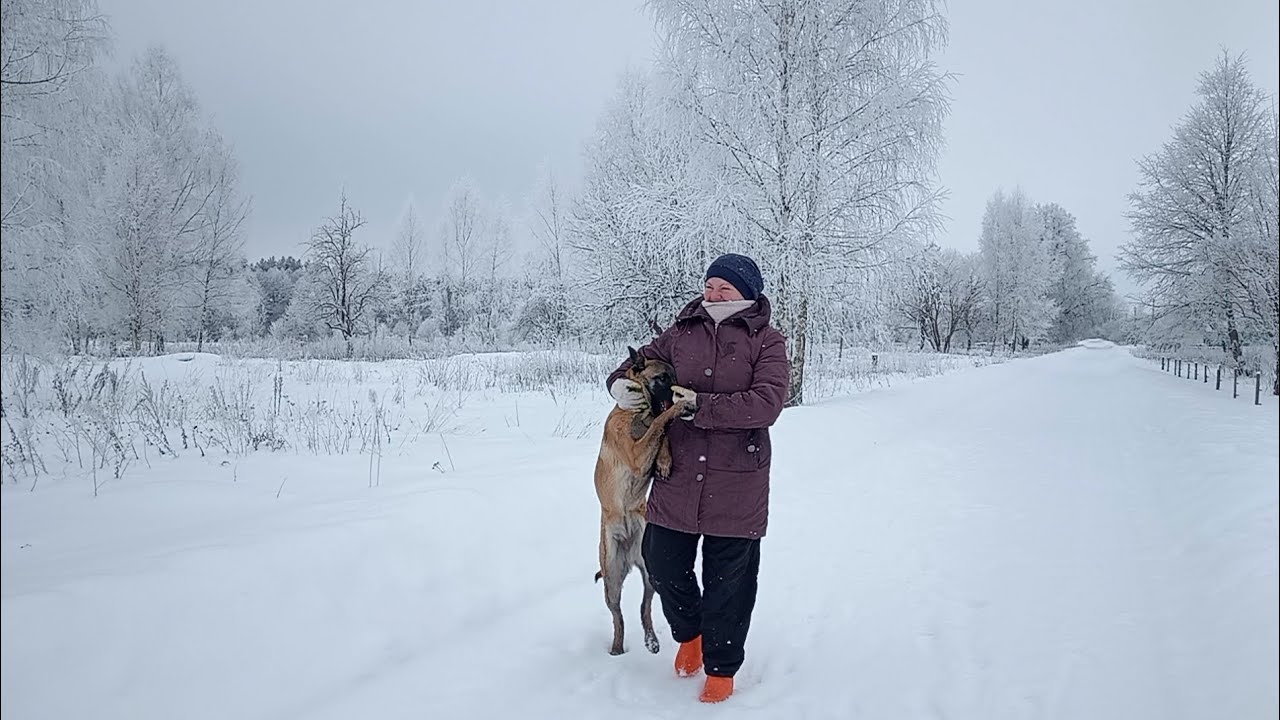 Заброшенная Деревня.  Хутор в Беларуси Переживает Сильные Морозы