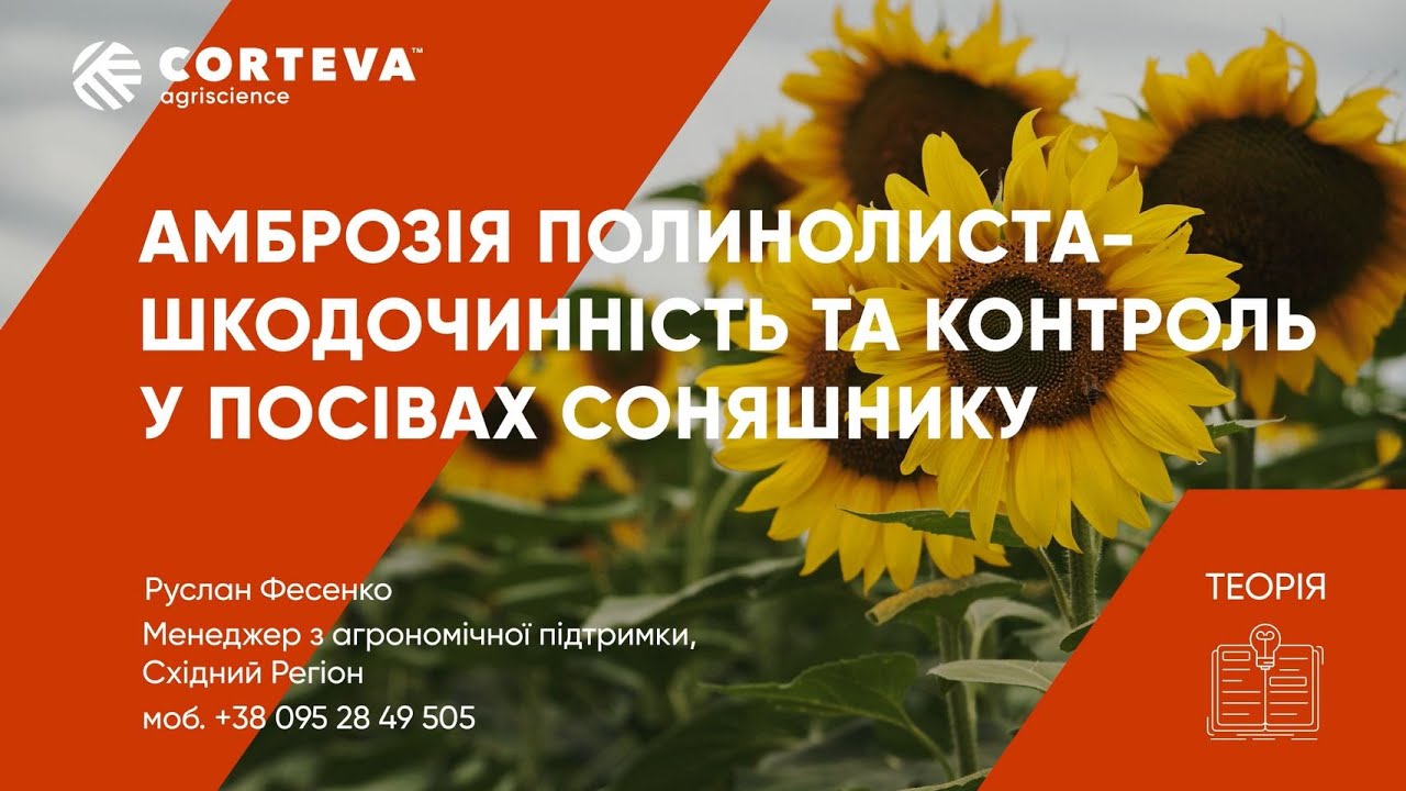 Агропоради від Corteva. Серія 3. Теорія. Амброзія - шкодочинність та контроль у посівах соняшнику.