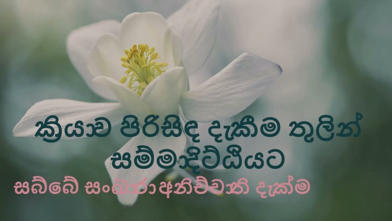 ක්‍රියාව පිරිසිඳ දැකීම තුලින් සම්මා දිට්ඨියට  ---  (සබ්බේ සංඛාරා අනිච්චාති දැක්ම)