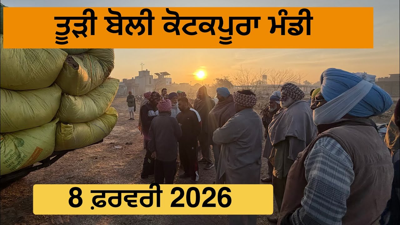 ਤੂੜੀ ਬੋਲੀ ਕੋਟਕਪੂਰਾ ਮੰਡੀ 8 February 2026 । ਤੂੜੀ ਰੇਟ ਅੱਜ ਦਾ । today Todi rate Kotkapura | Todi rate 