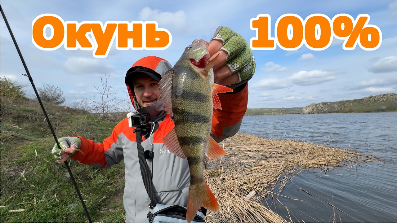 ОКУНЬ від А до Я піймає кожен !! снасті на окуня , монтаж на окуня і проводка на окуня  🎣