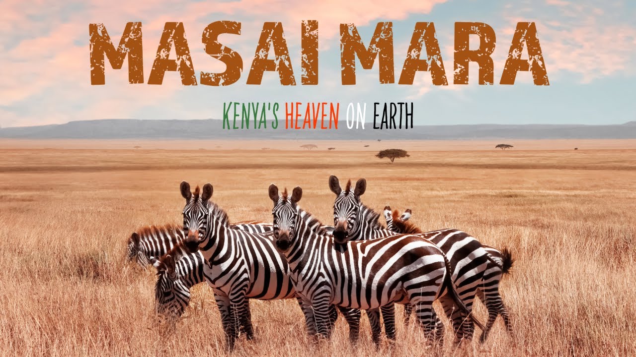 The MASAI MARA! One of the world's GREATEST wildlife displays! Exploring Kenya's HEAVEN ON EARTH!