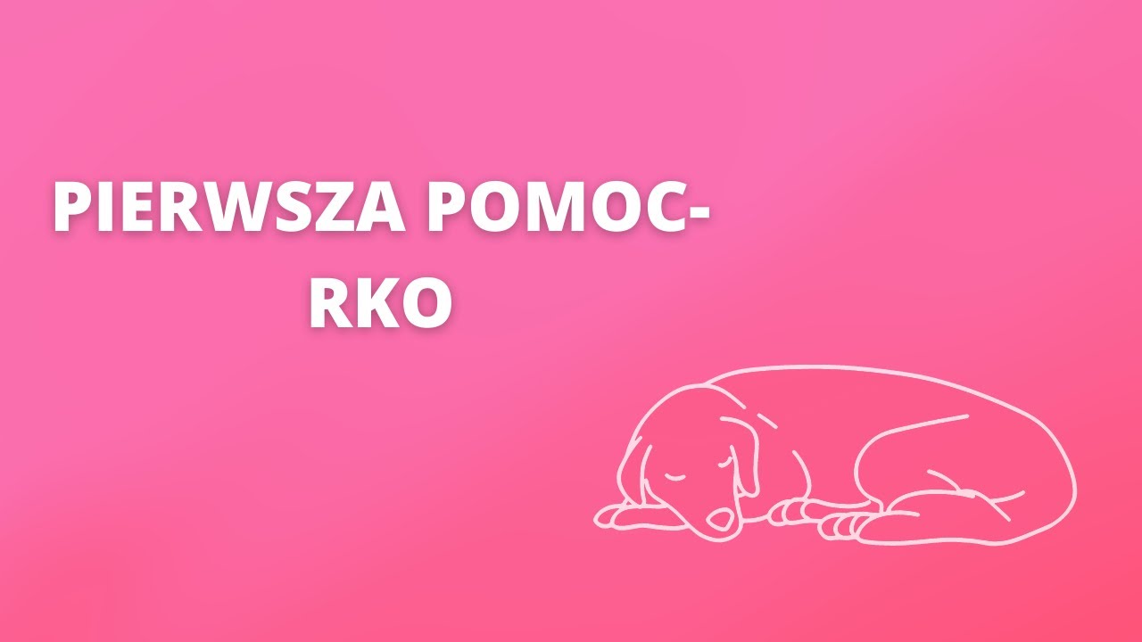 PIERWSZA POMOC DLA ZWIERZĄT - RKO
