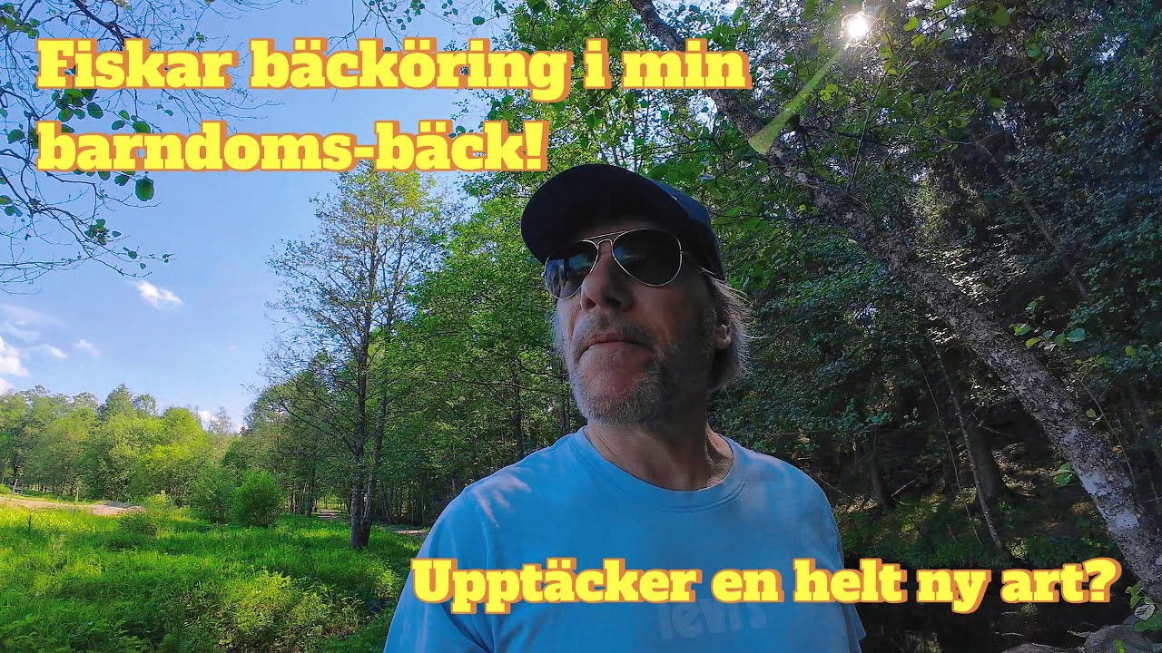 Fiskar bäcköring i min barndoms-bäck!