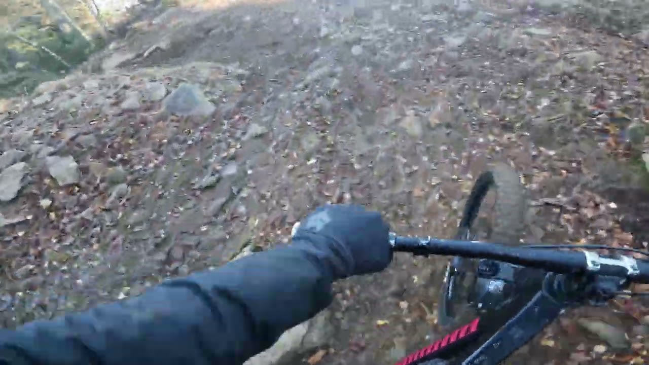 Geisskopf DH-Line 