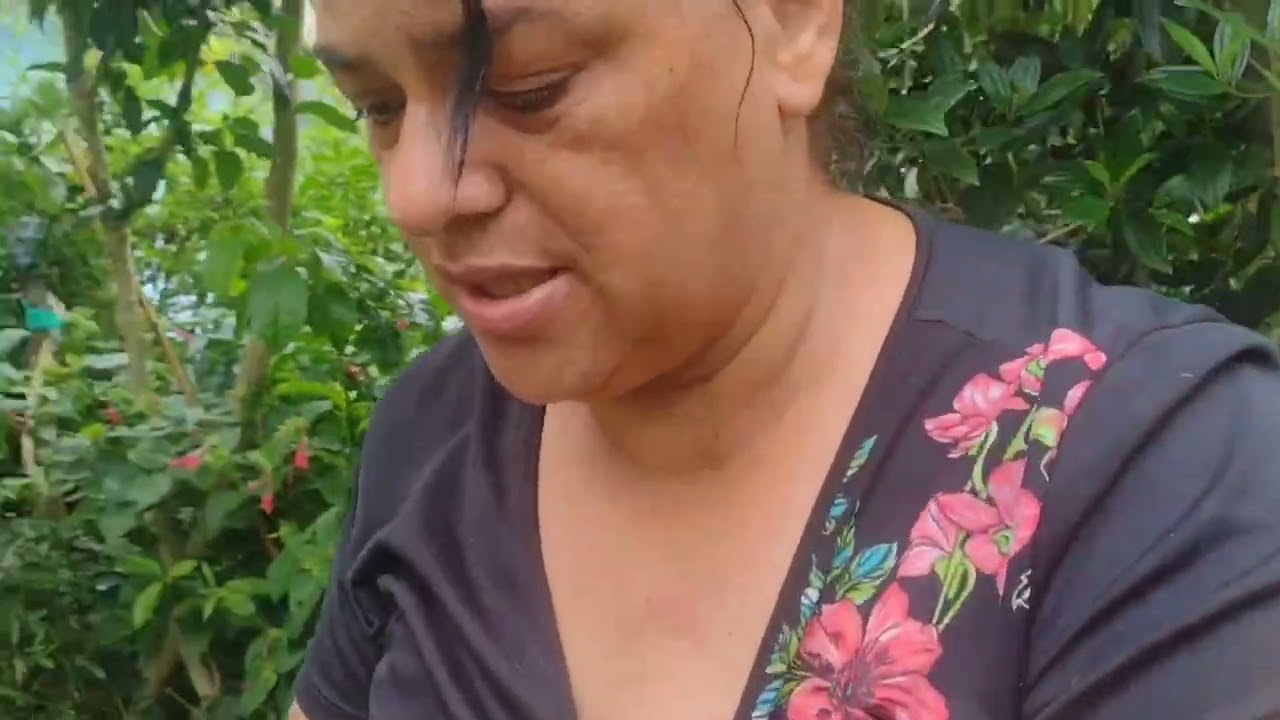 Gente olha eu aqui fazendo compostagem para as plantas 