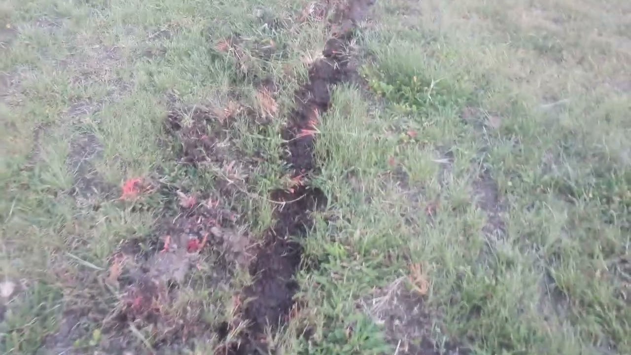 Micro-level Natural Sequence Farming contour.