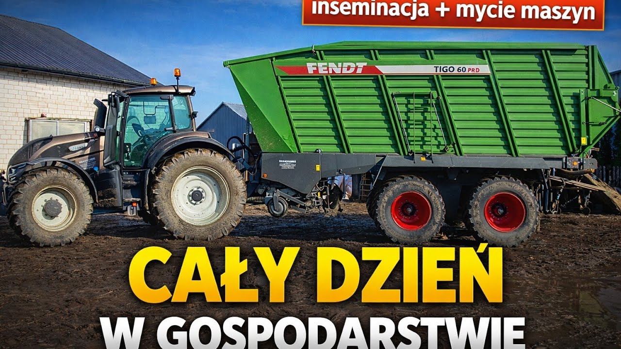 Od inseminacji po myjkę – cały dzień w gospodarstwie