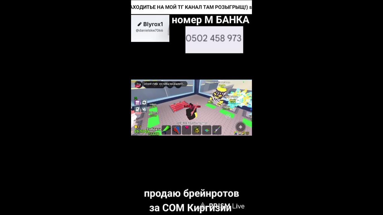 УКРАДИТЕ БРЕЙНРОТ (пвп-трейды) прямая трансляция Blyrox-rbx #shorts #roblox #brainrot