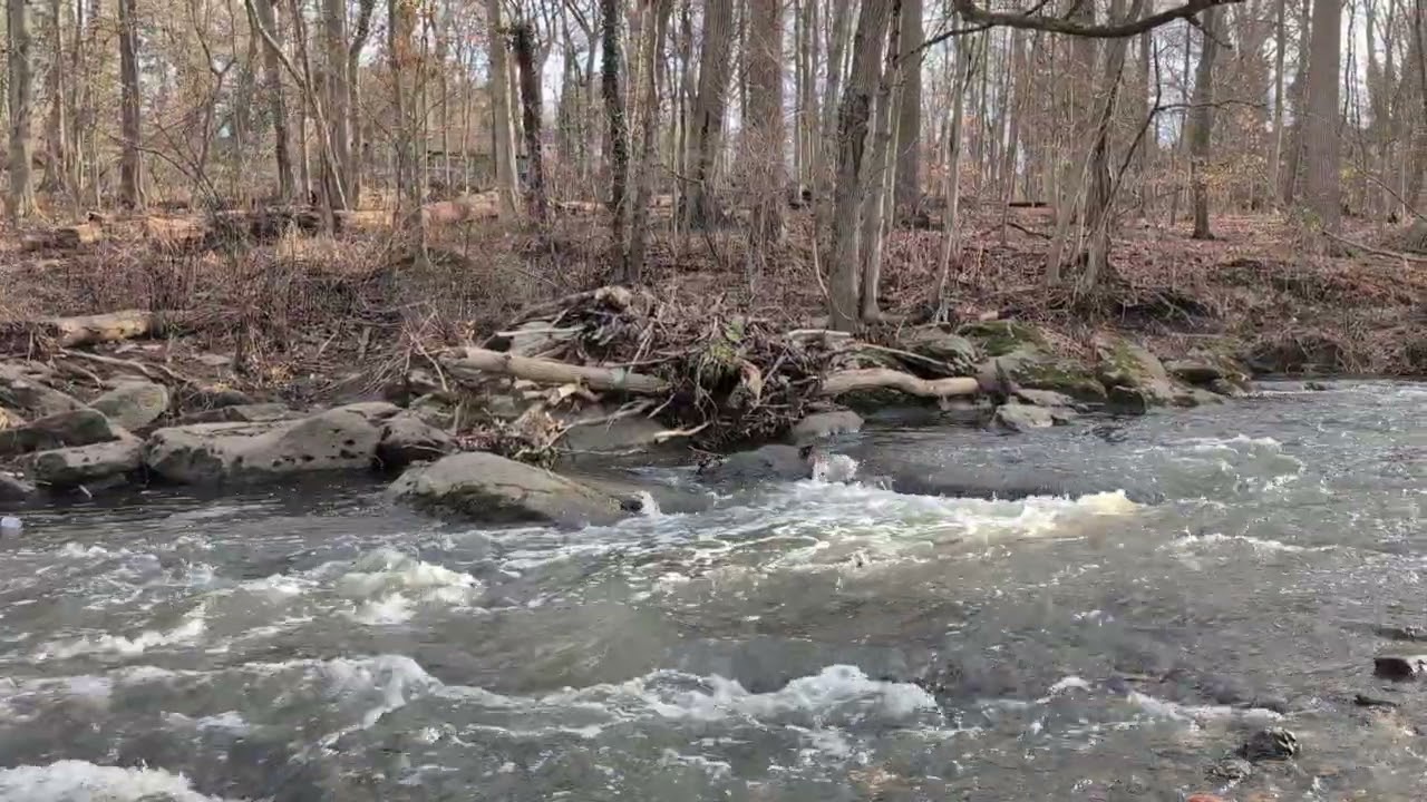 Sound of a stream