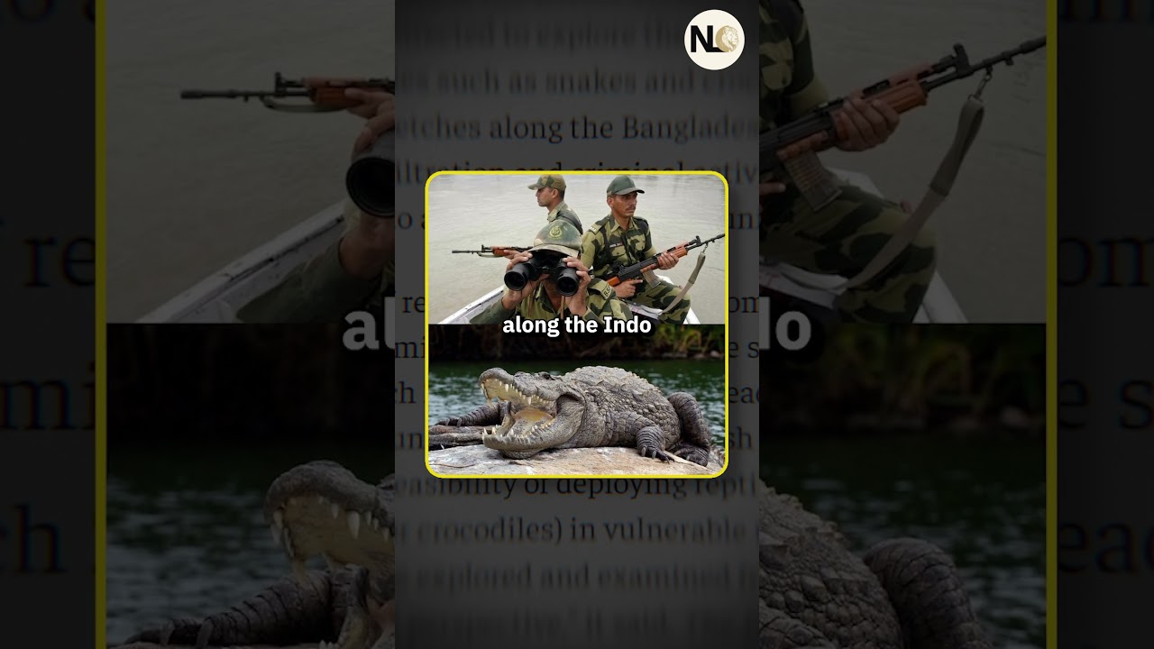 Crocodiles & Snakes for India&rsquo;s Border Security? | Sanjay Madrasi Pandey | News Lions Chronicle