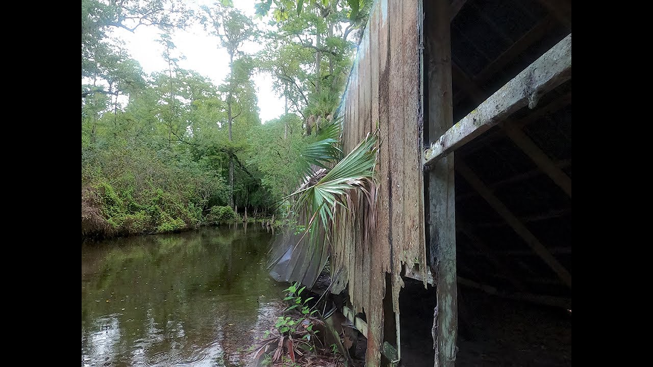 Exploring at Cypress Creek Nature Preserve