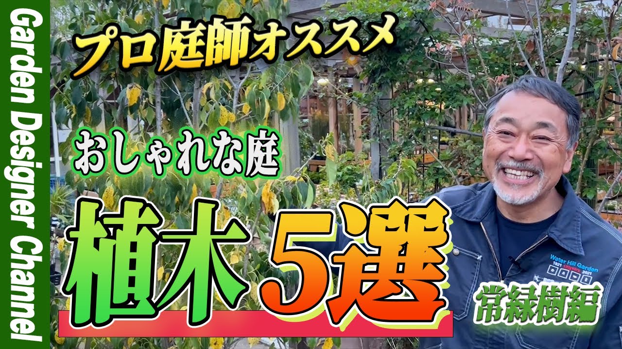 プロが選ぶおしゃれな植木５選！【おしゃれな庭】【外構】【庭木】