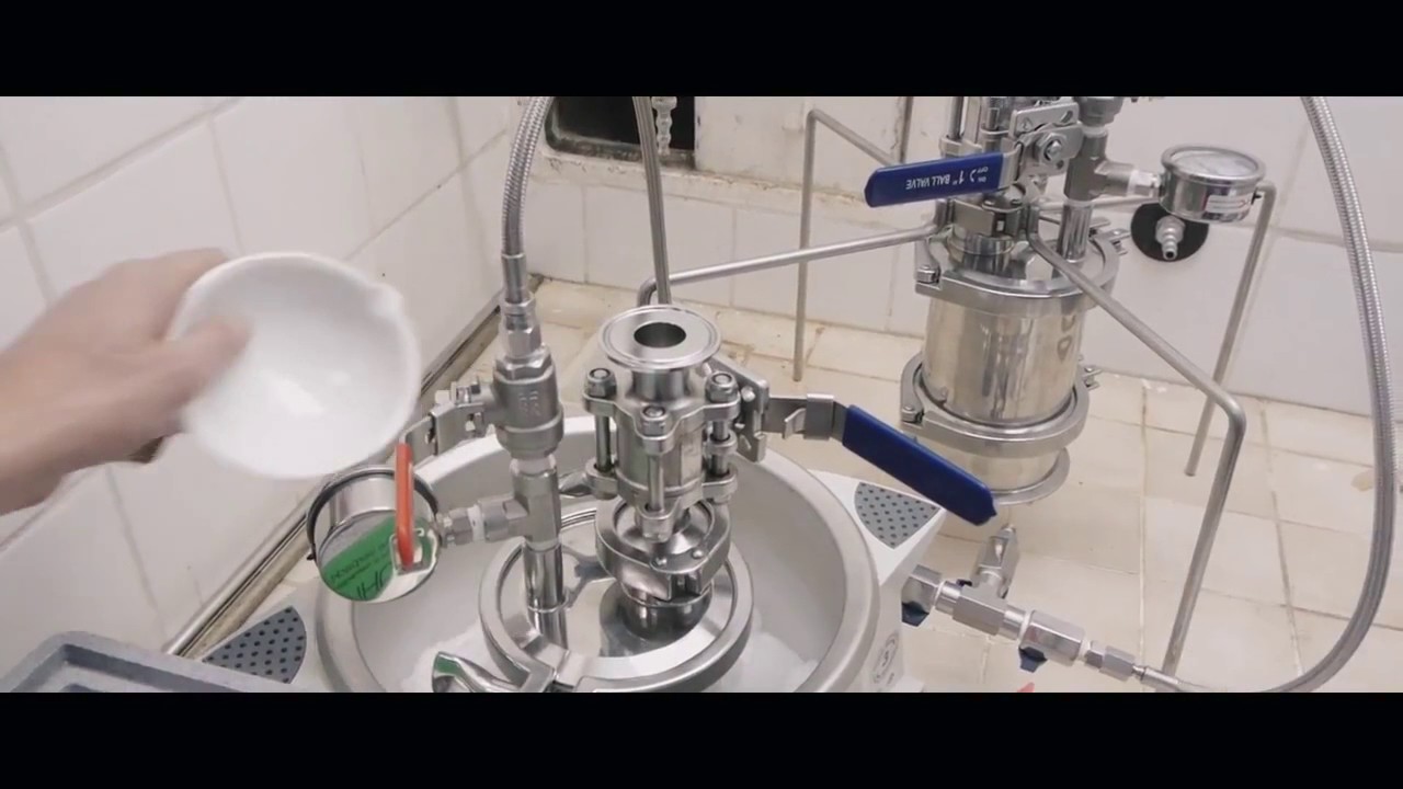 Dexso extractions at the CZU university Prague