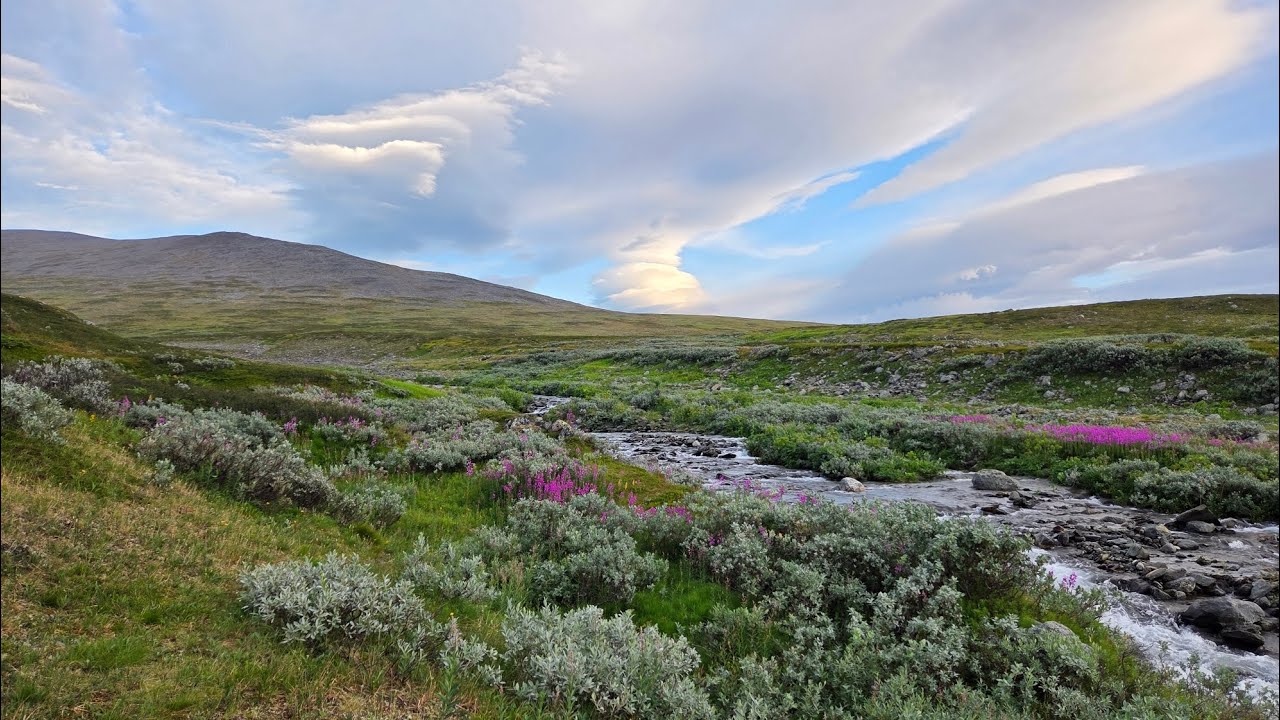 Kungsleden, Day 5. Kautumjaure - Teusajaure - Guolbbanjåhkå.