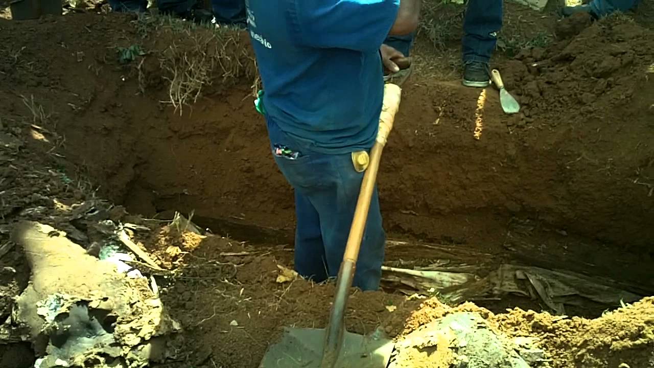 Exuma&ccedil;&atilde;o do Luiz&atilde;o [Abutre]