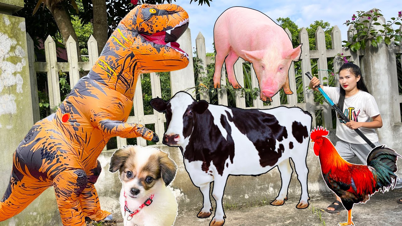 Khủng long bắt c&aacute;c con vật, con b&ograve;, con g&agrave; - Changcady thu phục khủng log l&agrave;m th&uacute; cưng - Part 310